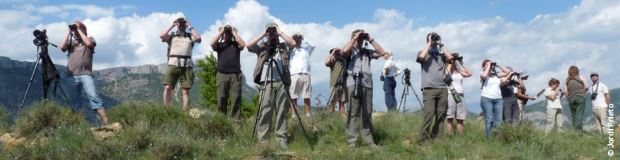 codigo-etico-observadores-de-aves