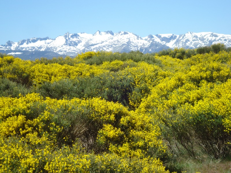 razones para visitar Gredos