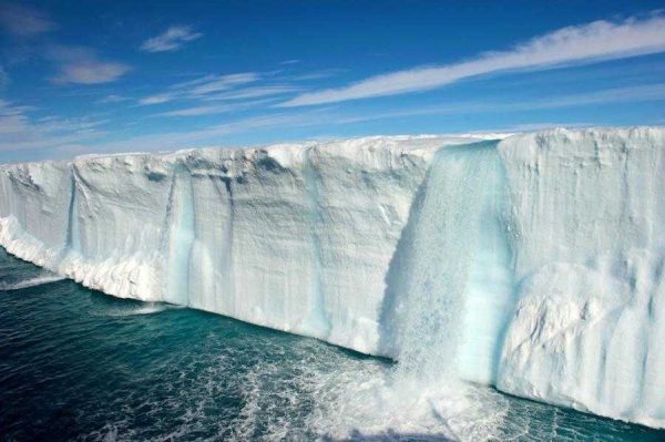 Las aves y el cambio climatico