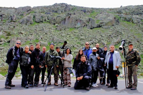 birdwatching en Gredos