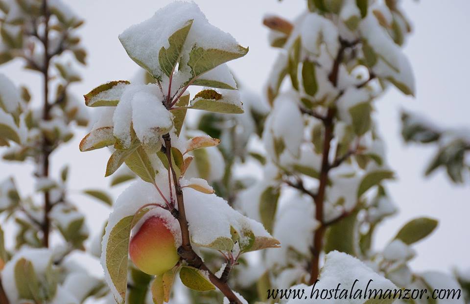 nevada en gredos