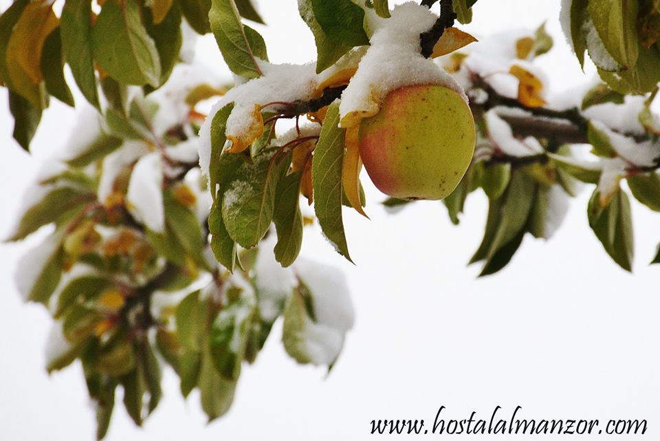 nevada en gredos