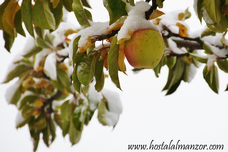 nevada en gredos