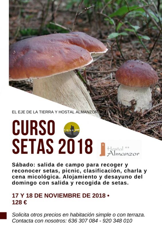 curso de setas