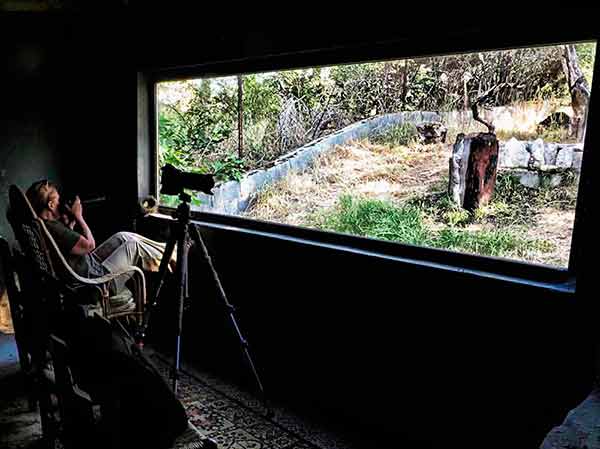 hides observar aves en la sierra de gredos